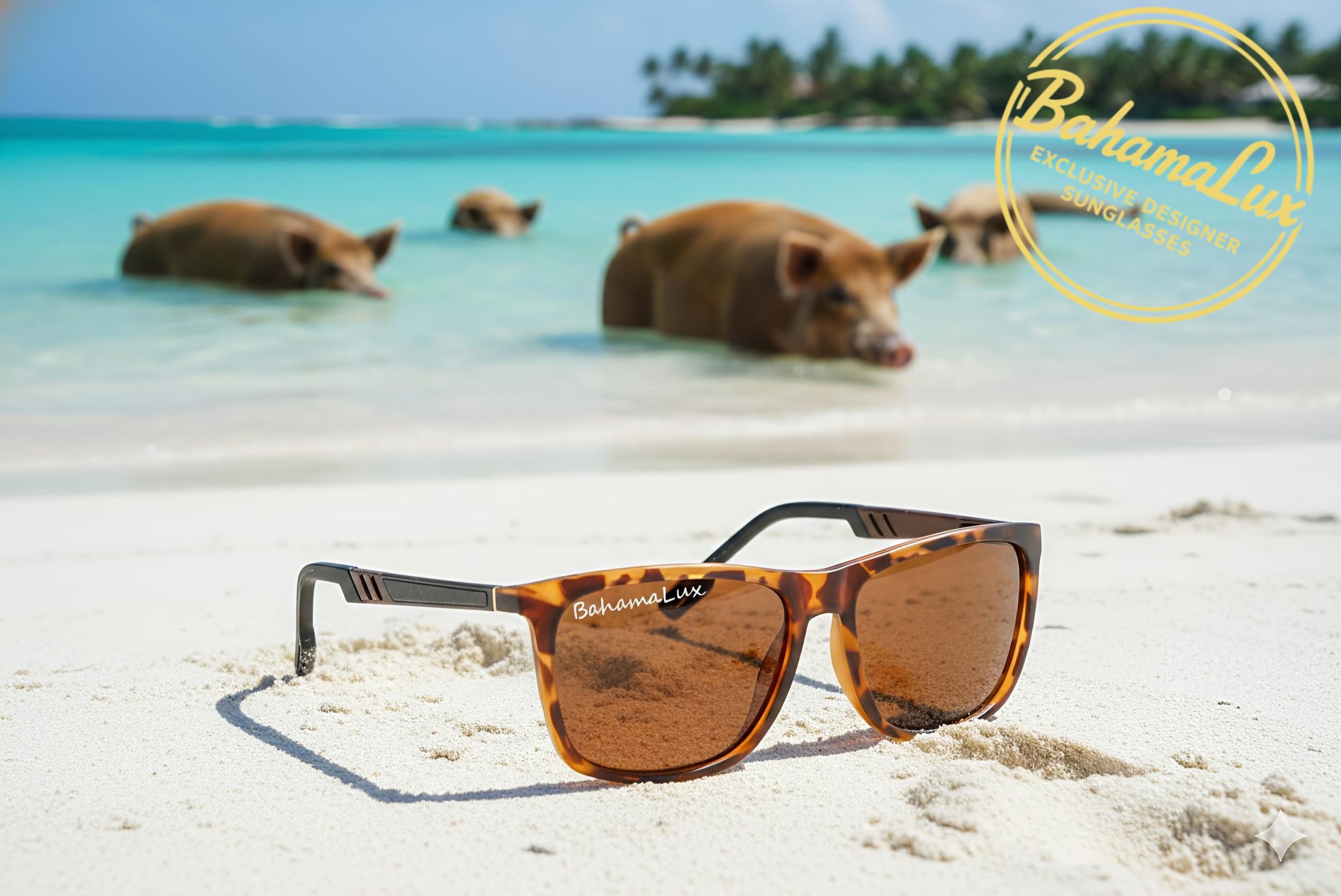 Bahama Lux Tortoise ‘Square Grouper’