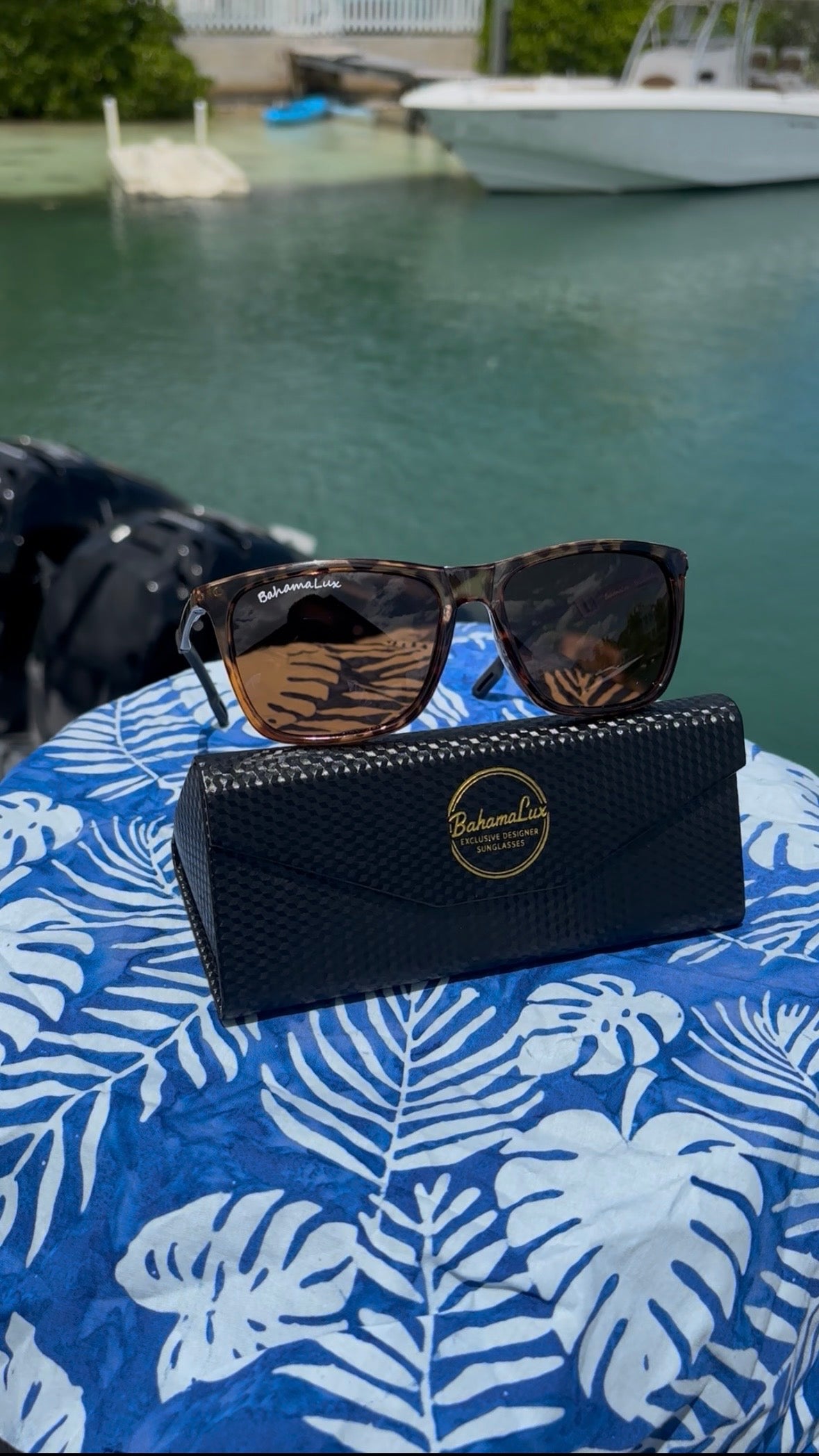 Bahama Lux Tortoise ‘Square Grouper’